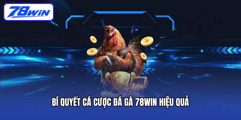 Bí quyết cá cược đá gà 78win hiệu quả