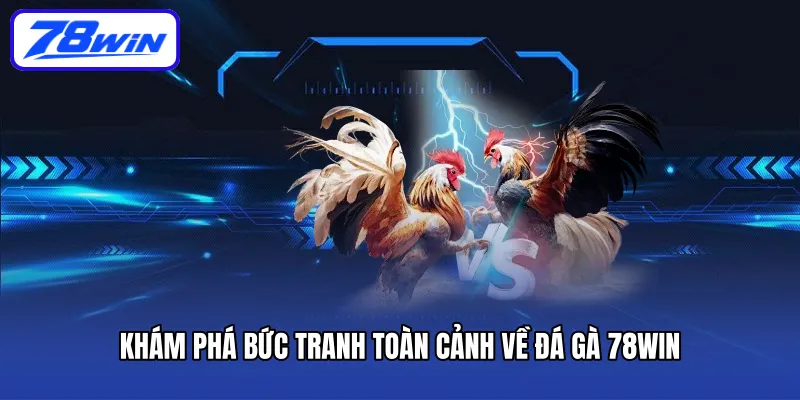 Khám phá bức tranh toàn cảnh về đá gà 78win